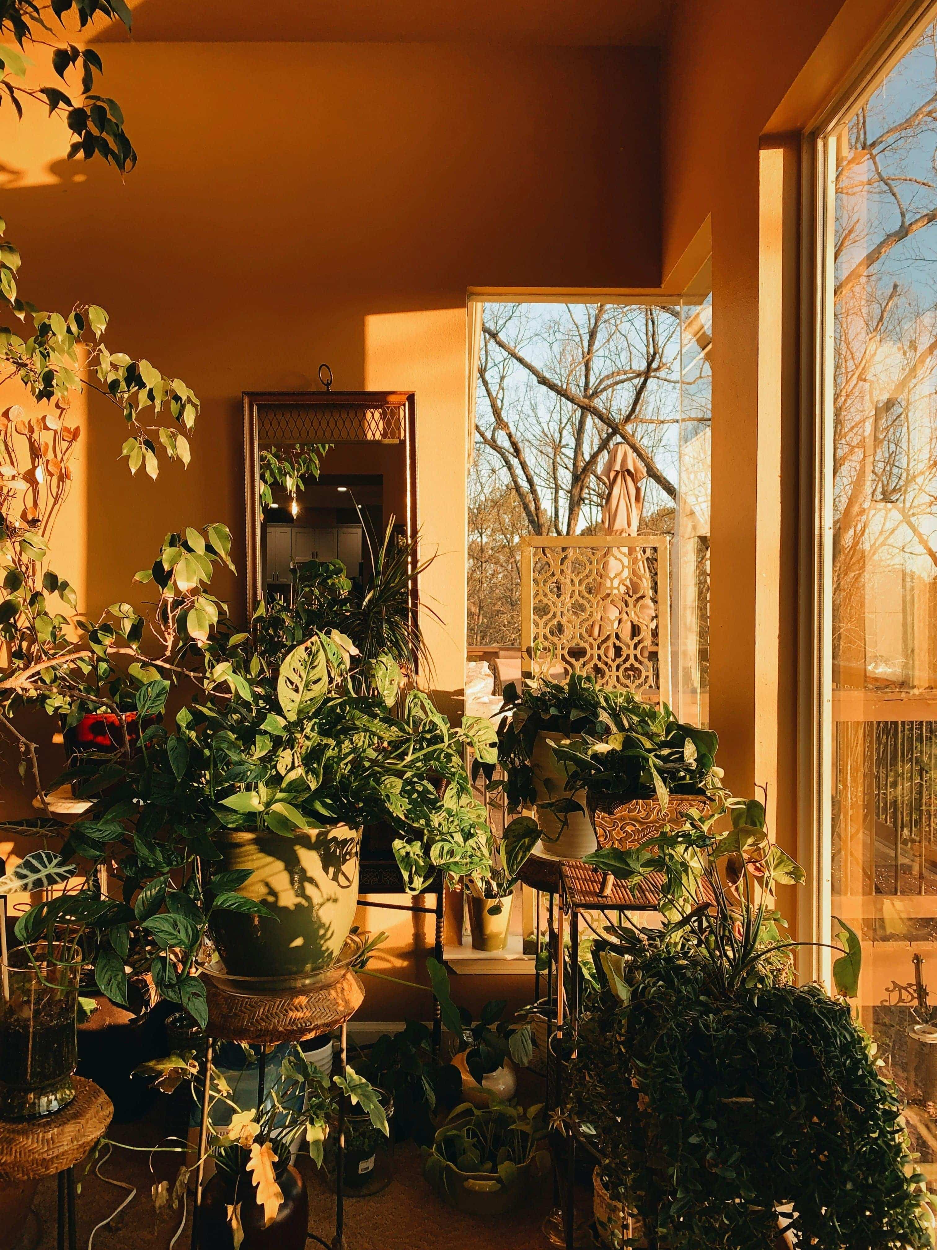 Spring home refresh